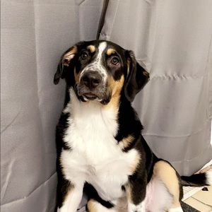 Meet your Posher, Kaitlyn